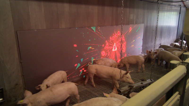 Illustration for article titled A Video Game That Helps People Forge Stronger Relationships...With Pigs